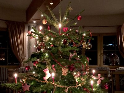 hotel-schoenruh-ehrwald-weihnachtsbaum-1054.jpg