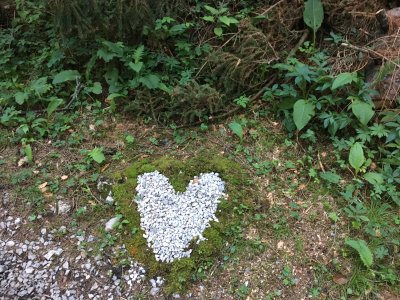 3 Herzerl Tage - Sommer 2025