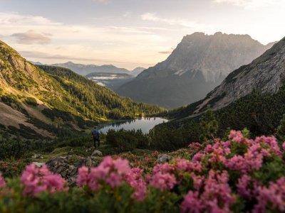 4 Tage Bergfrühling auf der Sonnenseite der Zugspitze 2026